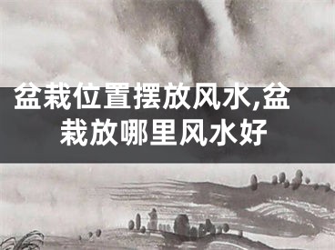 盆栽位置摆放风水,盆栽放哪里风水好