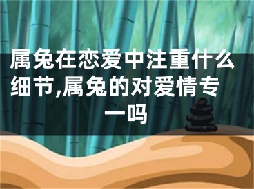 属兔在恋爱中注重什么细节,属兔的对爱情专一吗
