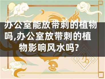 办公室能放带刺的植物吗,办公室放带刺的植物影响风水吗?