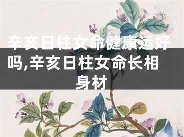 辛亥日柱女命健康运好吗,辛亥日柱女命长相身材