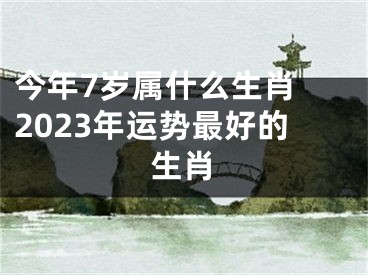 今年7岁属什么生肖 2023年运势最好的生肖