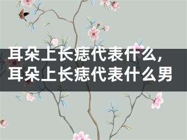 耳朵上长痣代表什么,耳朵上长痣代表什么男