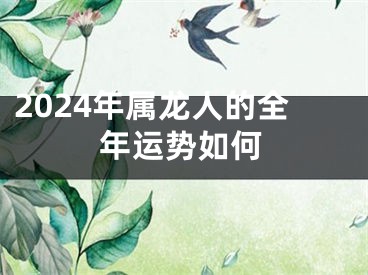 2024年属龙人的全年运势如何