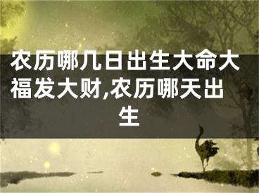 农历哪几日出生大命大福发大财,农历哪天出生