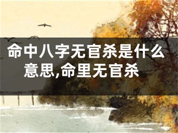 命中八字无官杀是什么意思,命里无官杀