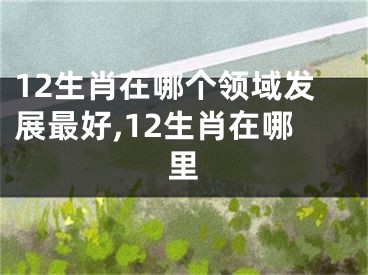 12生肖在哪个领域发展最好,12生肖在哪里