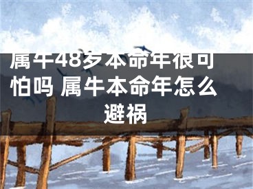 属牛48岁本命年很可怕吗 属牛本命年怎么避祸