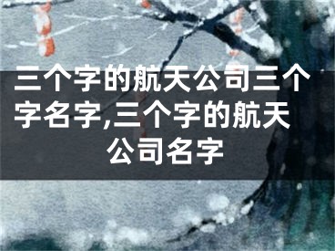 三个字的航天公司三个字名字,三个字的航天公司名字