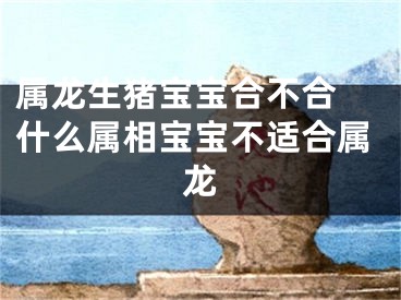 属龙生猪宝宝合不合 什么属相宝宝不适合属龙