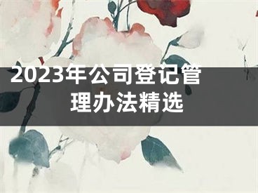 2023年公司登记管理办法精选