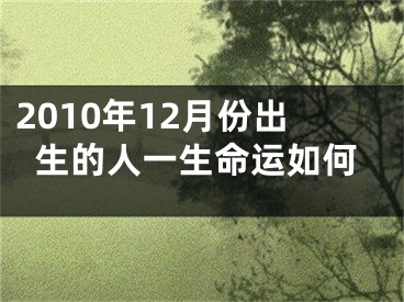 2010年12月份出生的人一生命运如何