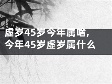 虚岁45岁今年属啥,今年45岁虚岁属什么