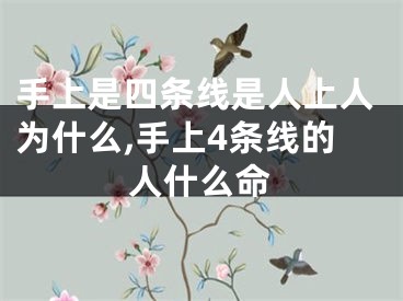 手上是四条线是人上人为什么,手上4条线的人什么命