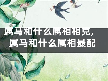 属马和什么属相相克,属马和什么属相最配