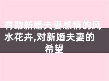 有助新婚夫妻感情的风水花卉,对新婚夫妻的希望