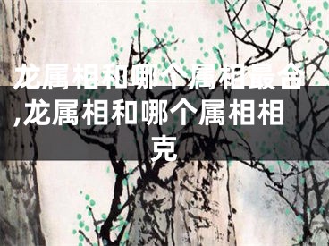 龙属相和哪个属相最合,龙属相和哪个属相相克