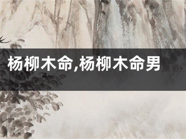 杨柳木命,杨柳木命男