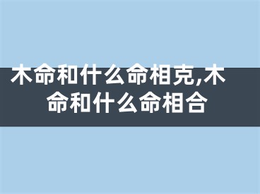 木命和什么命相克,木命和什么命相合