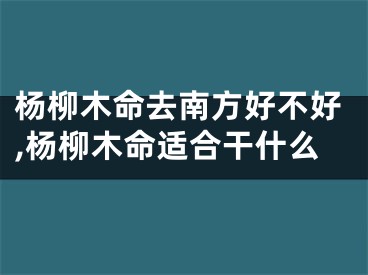 杨柳木命去南方好不好,杨柳木命适合干什么