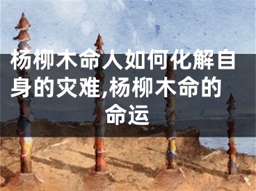 杨柳木命人如何化解自身的灾难,杨柳木命的命运