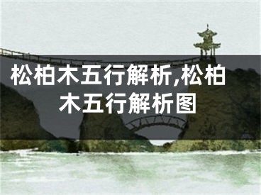 松柏木五行解析,松柏木五行解析图