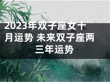 2023年双子座女十月运势 未来双子座两三年运势