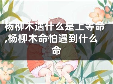 杨柳木遇什么是上等命,杨柳木命怕遇到什么命