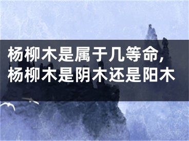 杨柳木是属于几等命,杨柳木是阴木还是阳木
