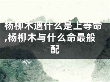 杨柳木遇什么是上等命,杨柳木与什么命最般配