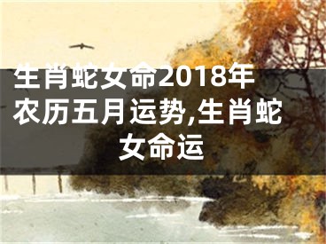 生肖蛇女命2018年农历五月运势,生肖蛇女命运
