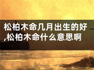 松柏木命几月出生的好,松柏木命什么意思啊
