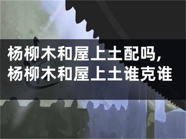 杨柳木和屋上土配吗,杨柳木和屋上土谁克谁