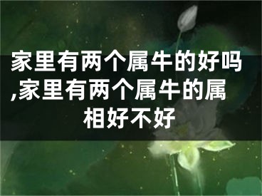 家里有两个属牛的好吗,家里有两个属牛的属相好不好