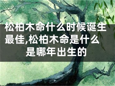 松柏木命什么时候诞生最佳,松柏木命是什么是哪年出生的
