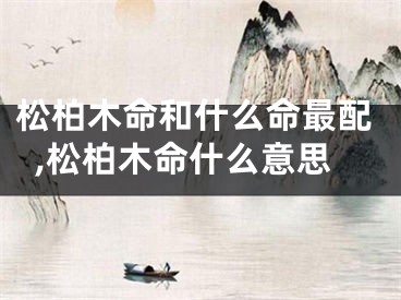 松柏木命和什么命最配,松柏木命什么意思