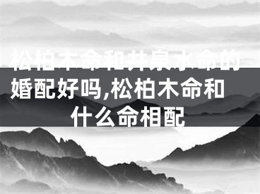 松柏木命和井泉水命的婚配好吗,松柏木命和什么命相配