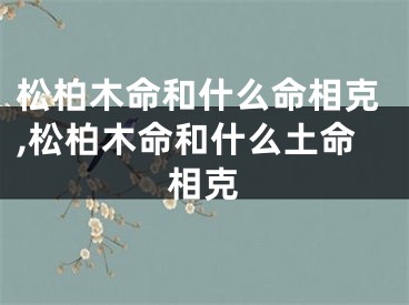 松柏木命和什么命相克,松柏木命和什么土命相克