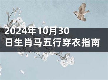 2024年10月30日生肖马五行穿衣指南