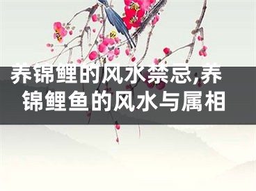 养锦鲤的风水禁忌,养锦鲤鱼的风水与属相