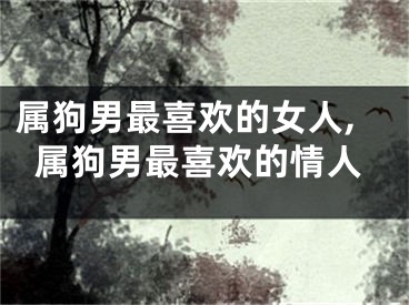 属狗男最喜欢的女人,属狗男最喜欢的情人