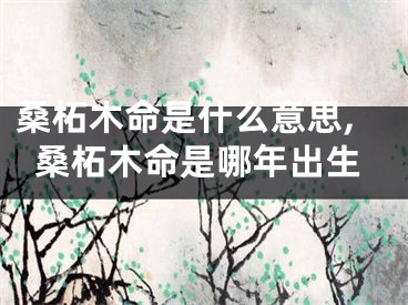 桑柘木命是什么意思,桑柘木命是哪年出生