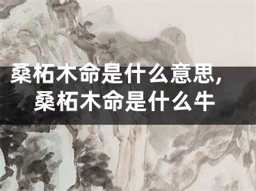 桑柘木命是什么意思,桑柘木命是什么牛
