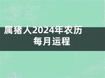 属猪人2024年农历每月运程