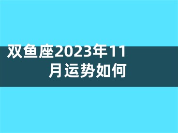 双鱼座2023年11月运势如何