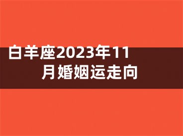 白羊座2023年11月婚姻运走向