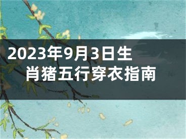 2023年9月3日生肖猪五行穿衣指南