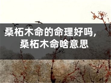 桑柘木命的命理好吗,桑柘木命啥意思