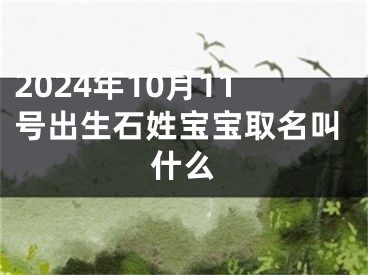 2024年10月11号出生石姓宝宝取名叫什么