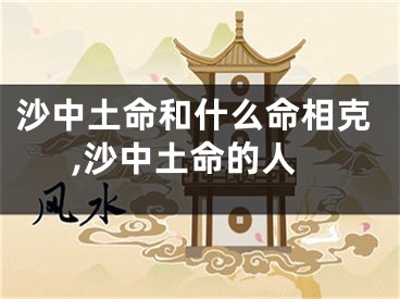 沙中土命和什么命相克,沙中土命的人