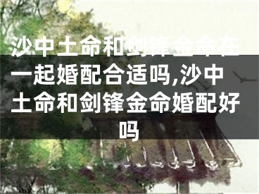沙中土命和剑锋金命在一起婚配合适吗,沙中土命和剑锋金命婚配好吗
